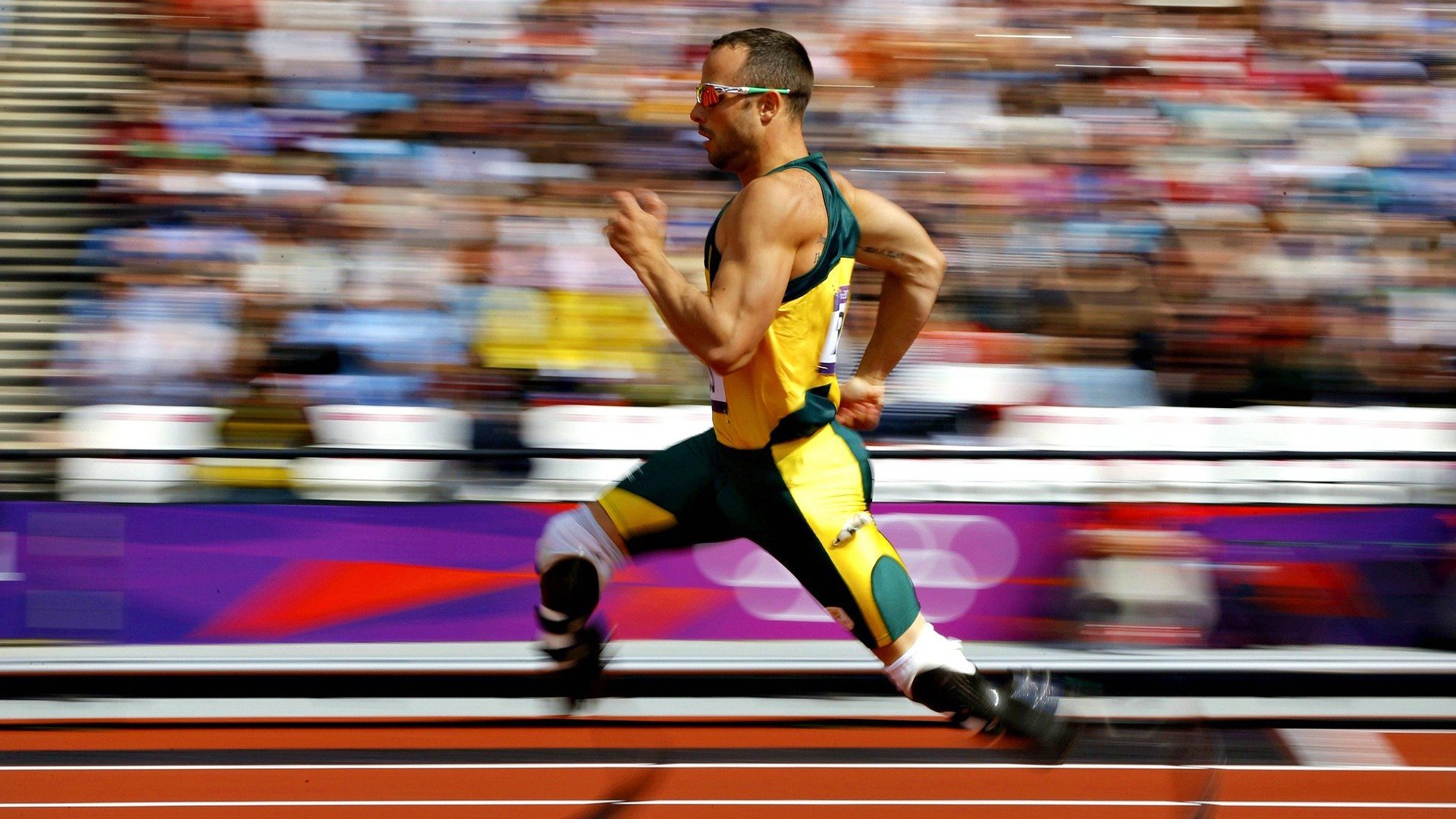 体育新闻中心发布运动员健康数据管理平台，运动员 健康