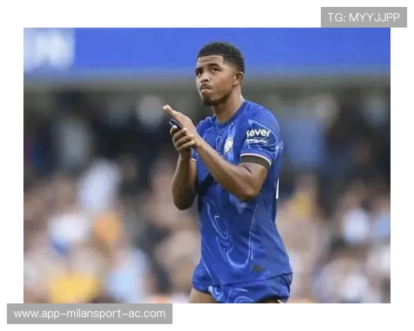 切尔西签约欧洲经验型中卫